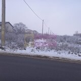 Teren Domnesti 12300 mp de vanzare sau asociere